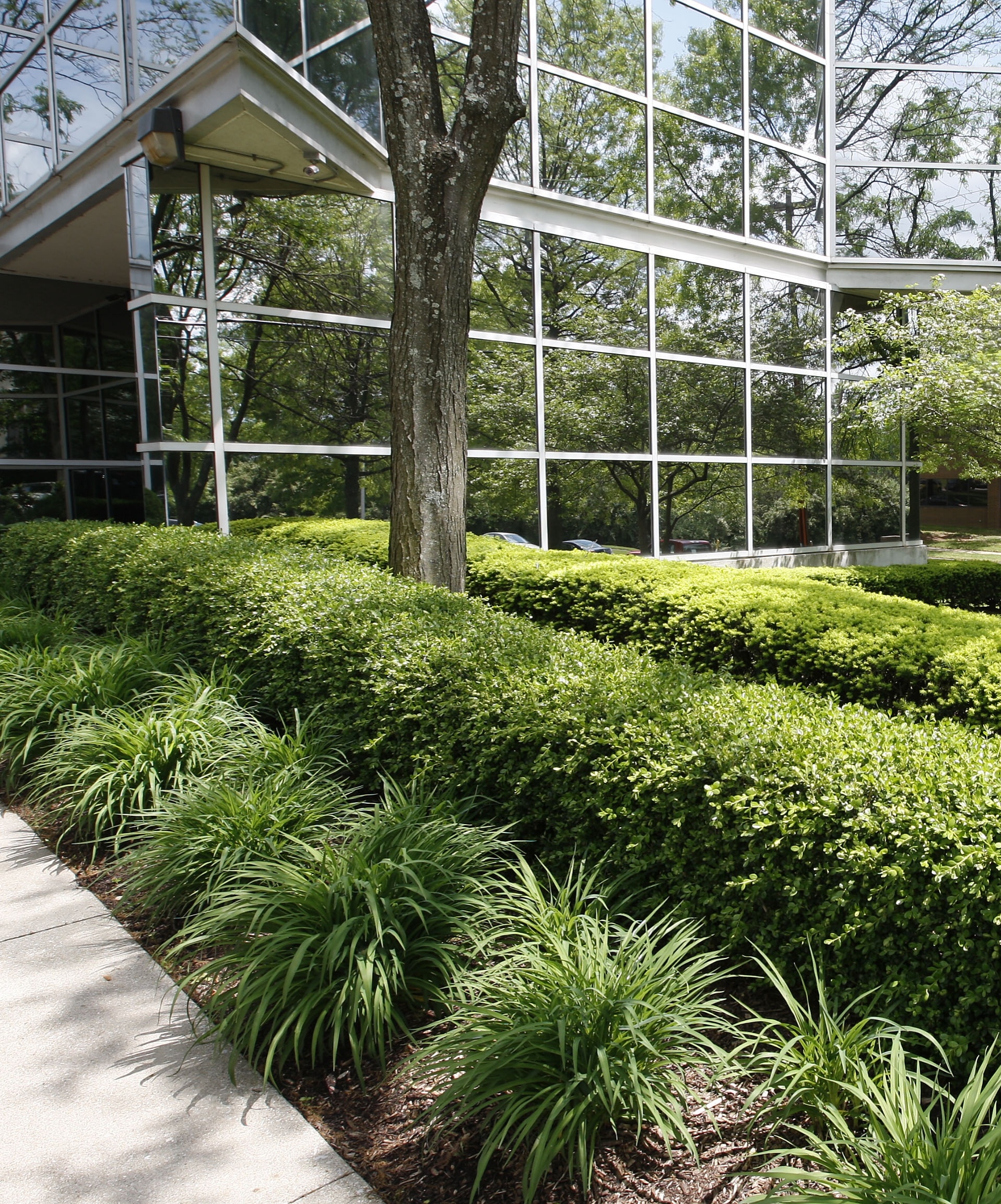 Landscaping Louisville Ky / Louisville Landscape Design Clinton